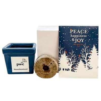 Peace, Happiness & Joy Tree Seed Kit