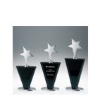 Large Black Winner's Star Award