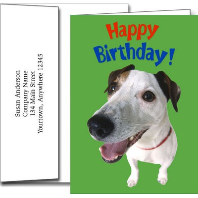 Birthday Greeting Cards w/Imprinted Envelopes