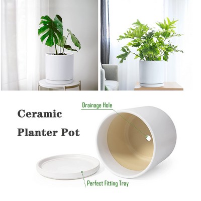 10 Inch Ceramic Plant Pot with Drainage and Saucer